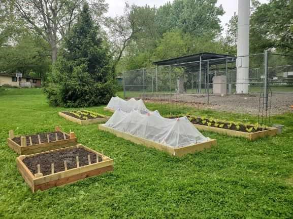 Communal Garden 05-26-21 photo