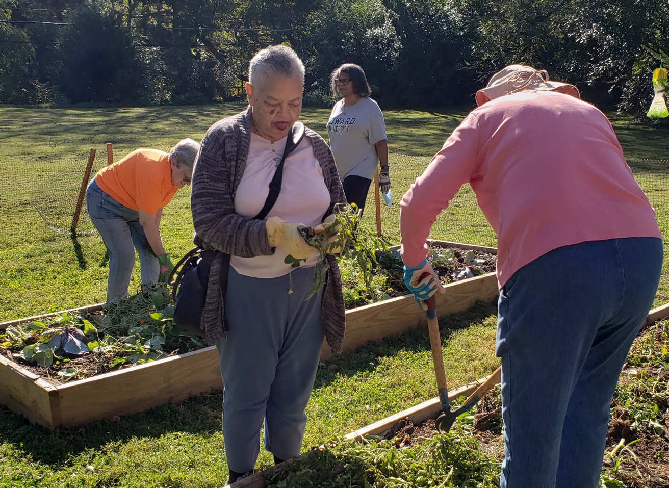 Communal Garden Fall Cleanup #2